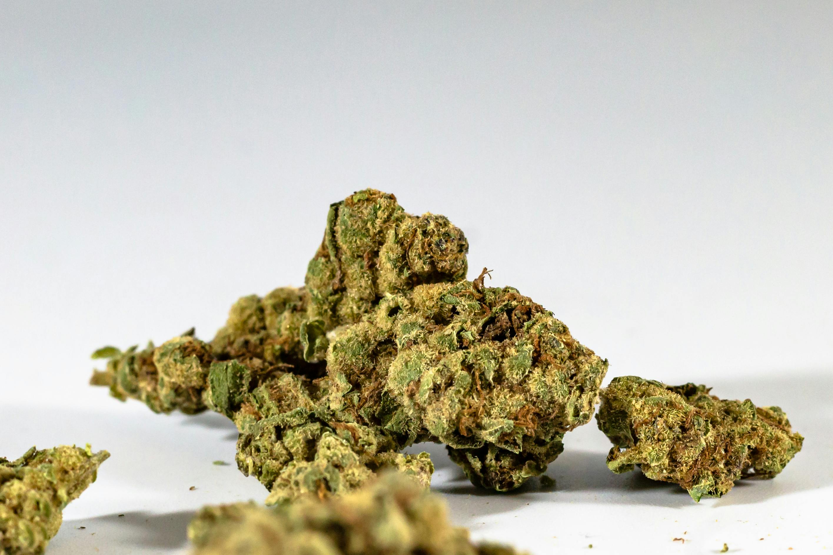 Cannabis bud with the nerolidol terpene