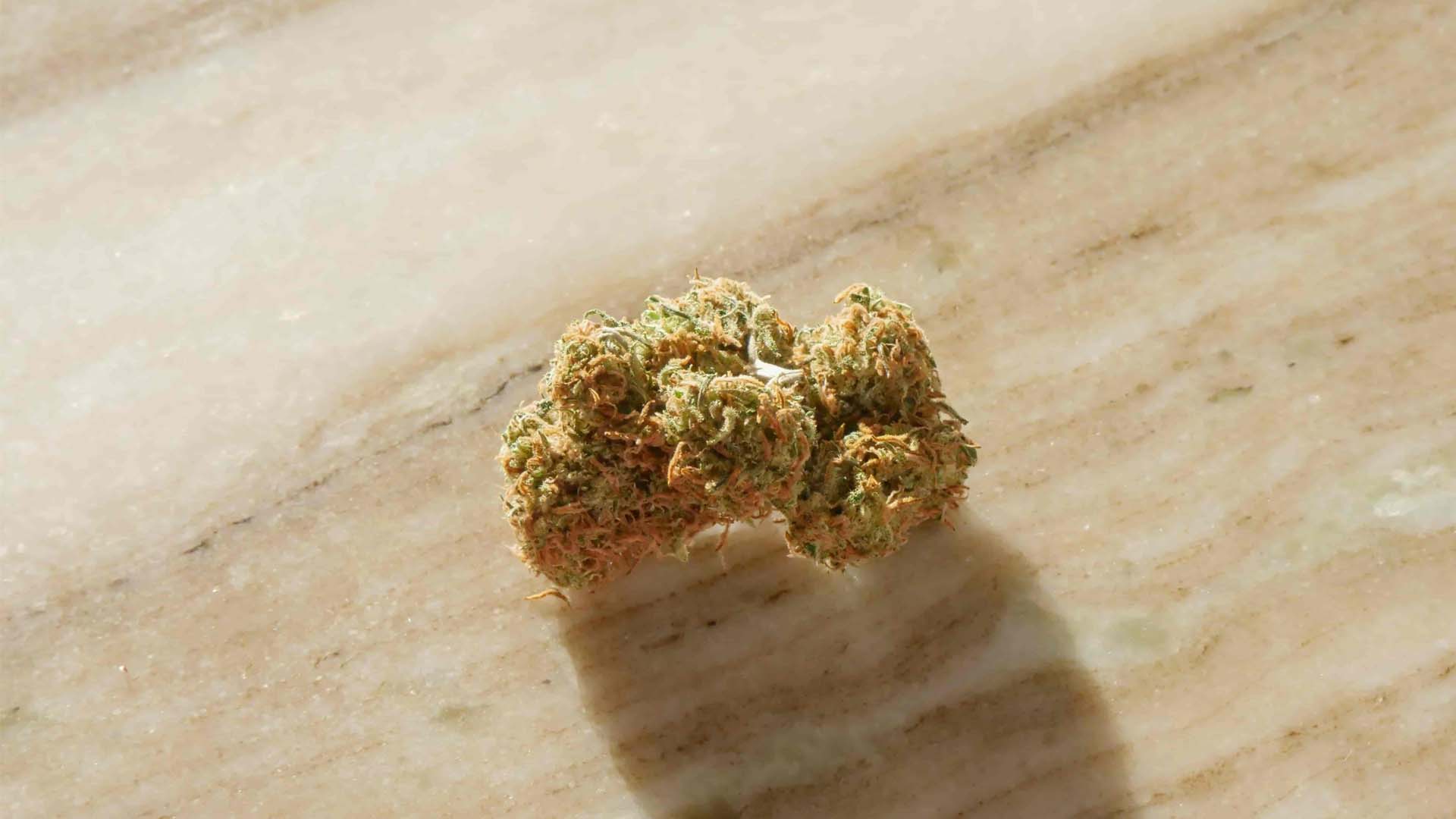 cannabis bud on a wooden surface