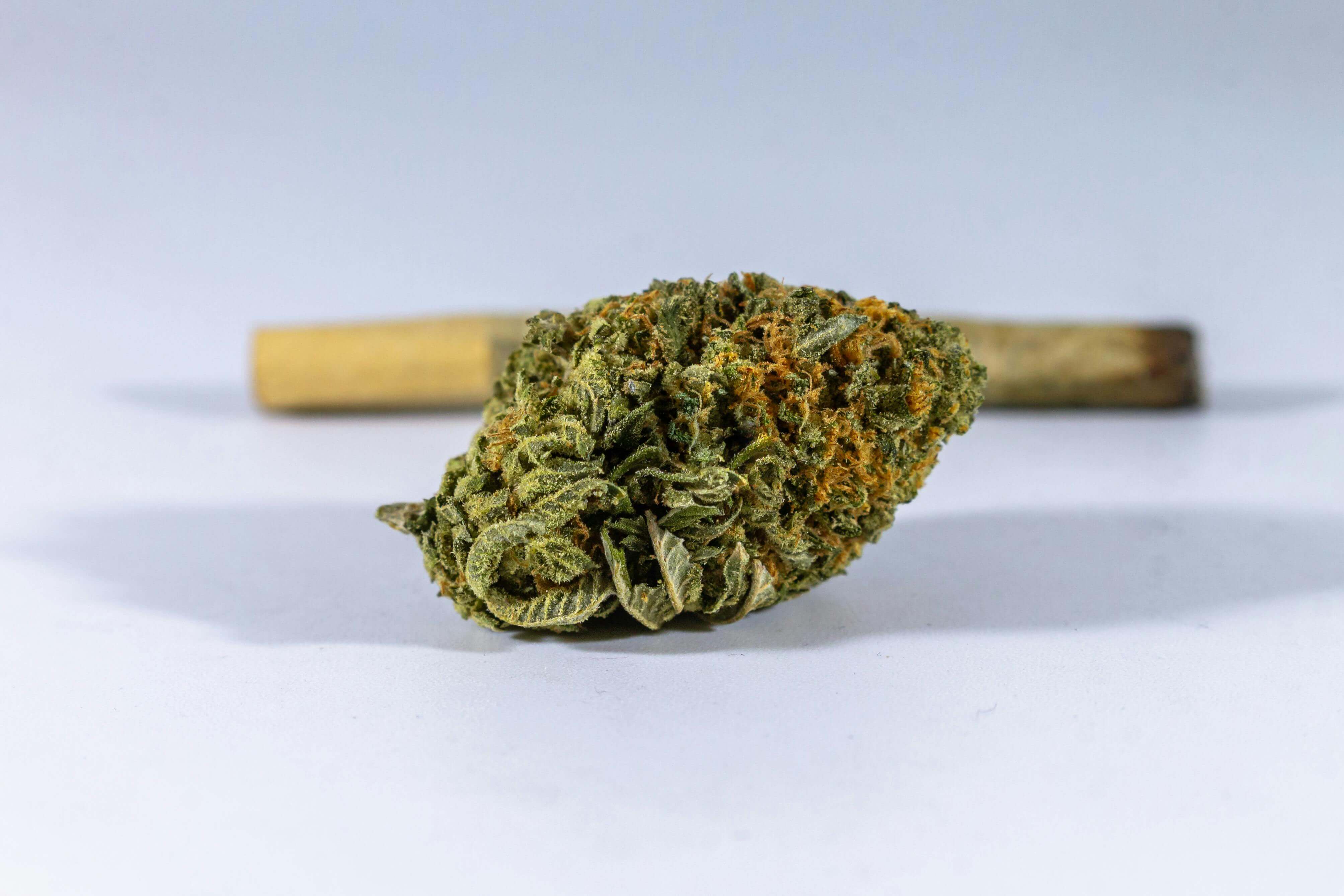 A joint placed next to a cannabis bud