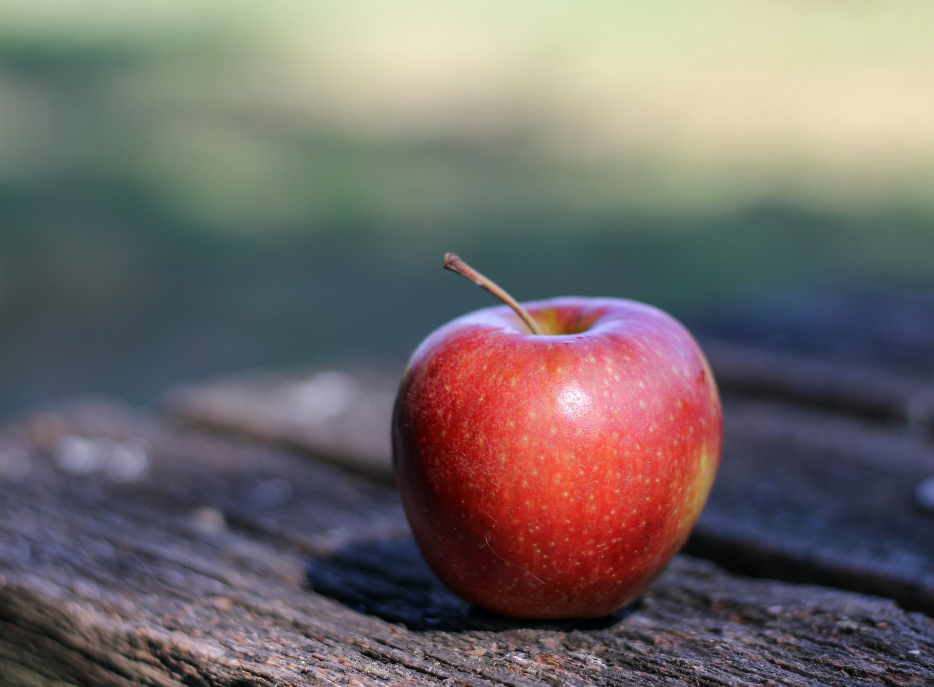 Apple on a picnic table before becoming an apple pipe