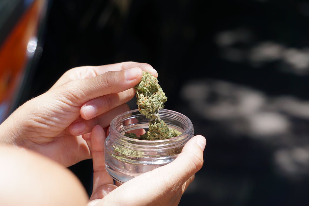 A person holding cannabis buds from a glass jar