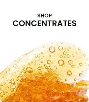 cannabis concentrates
