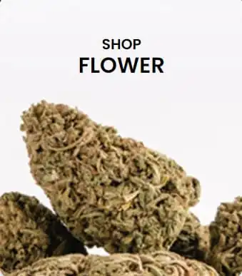cannabis flower